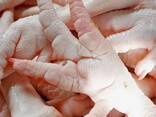 Wholesale Frozen Chicken Feet - Frozen Chicken Paw - Frozen Chicken Leg No reviews yet - photo 1