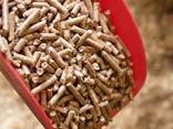 Cheapest European grade Italian and Romania quality wood pellets 6mm for sale - фото 1