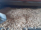 Wood pellets granules for burning The manufacturing company from Ukraine - photo 3
