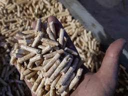 Wood pellets, high quality