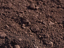 Железная руда агломерационная Fe 55-56