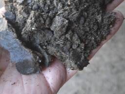 Жмых подсолнечника